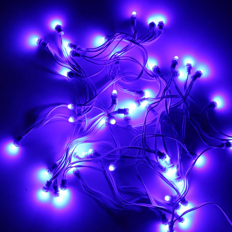 Blue 9mm 12v 5 inch Pixel Led Serial Decoration Light - 5 meters - 50 Leds - Image 2