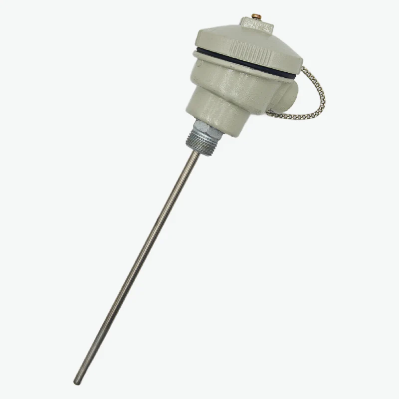 PT100 Head Type Thermocouple 8 inch Long probe - 6mm x 200mm - Image 5